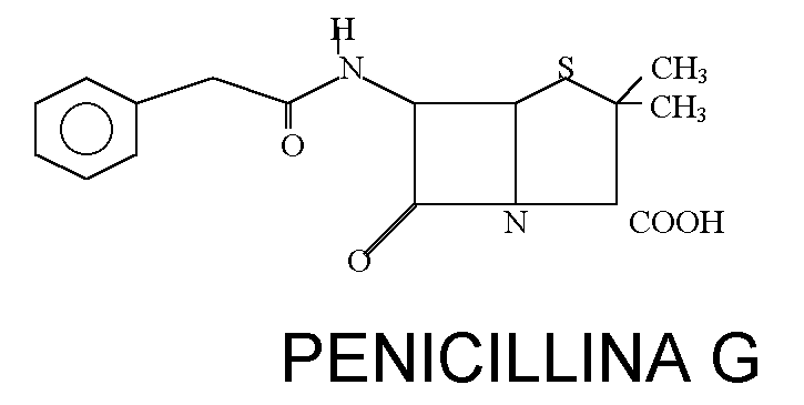 penicillina_g8.gif